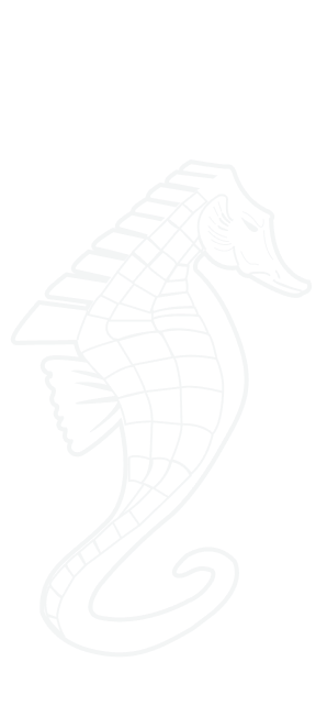 watermark
